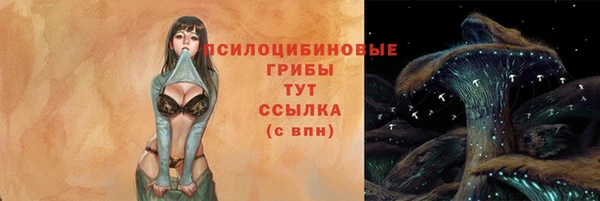 соль курить ск Дмитровск