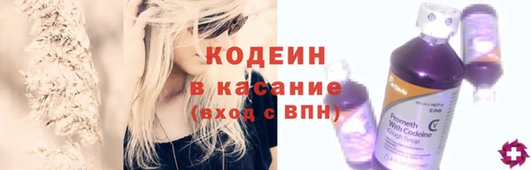 амф Дмитриев