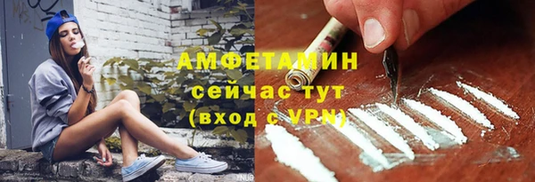 амф Дмитриев