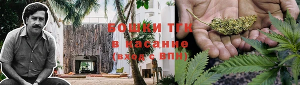молекула духа Гусь-Хрустальный