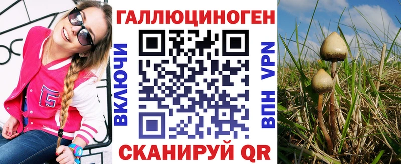 Псилоцибиновые грибы GOLDEN TEACHER  купить наркоту  Семикаракорск 